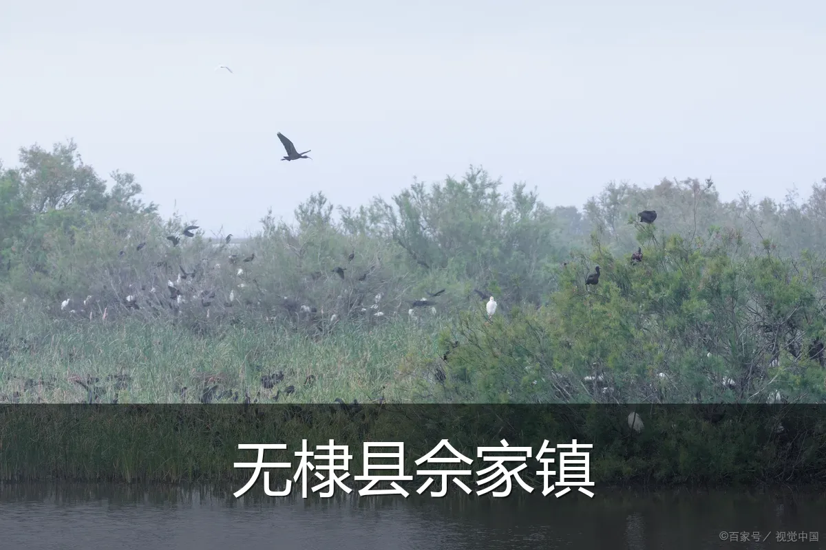 无棣县佘家镇