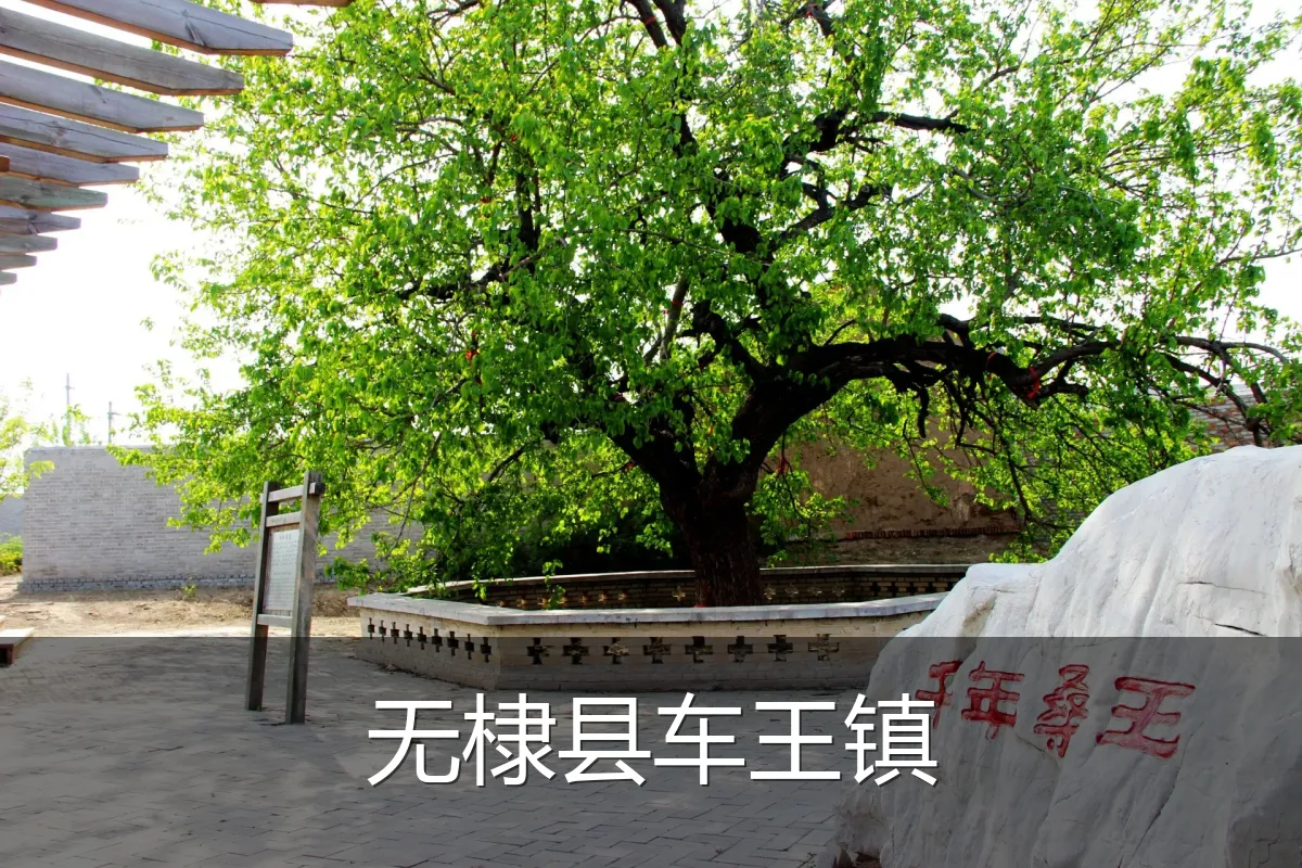 无棣县车王镇