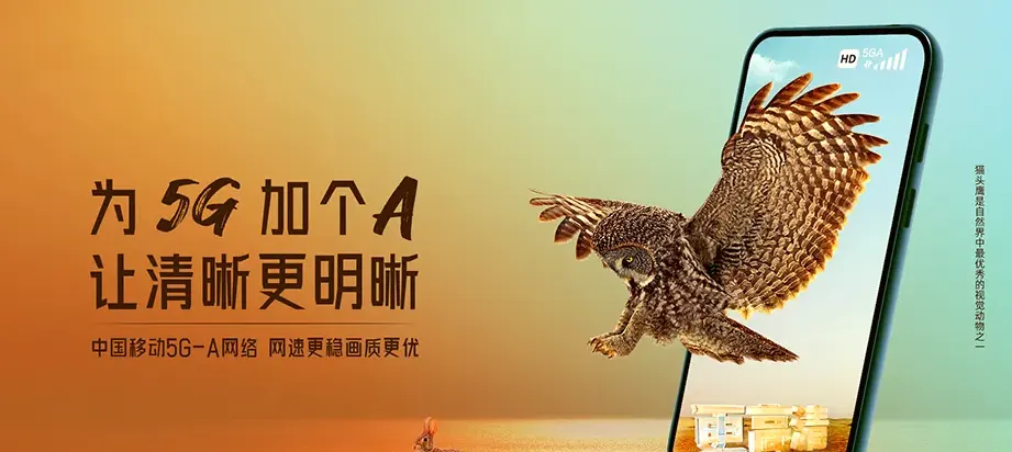 无棣县无棣县西小王镇 移动宽带