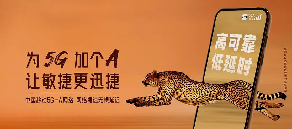 无棣县无棣县小泊头镇 移动宽带